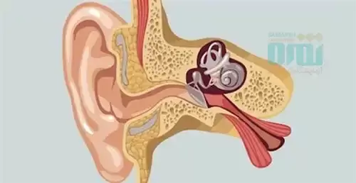 گوش درد