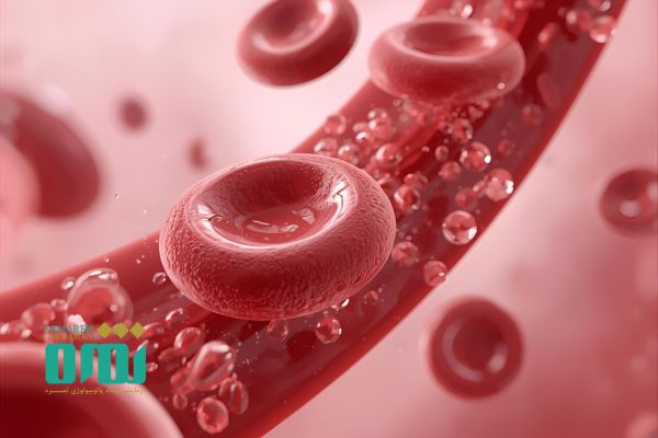 آزمایش RBC چیست و چه زمانی درخواست می شود؟